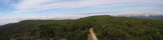 25-Panorama from Mt Useful