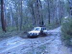 16-Nudgee enjoys One Speck Track