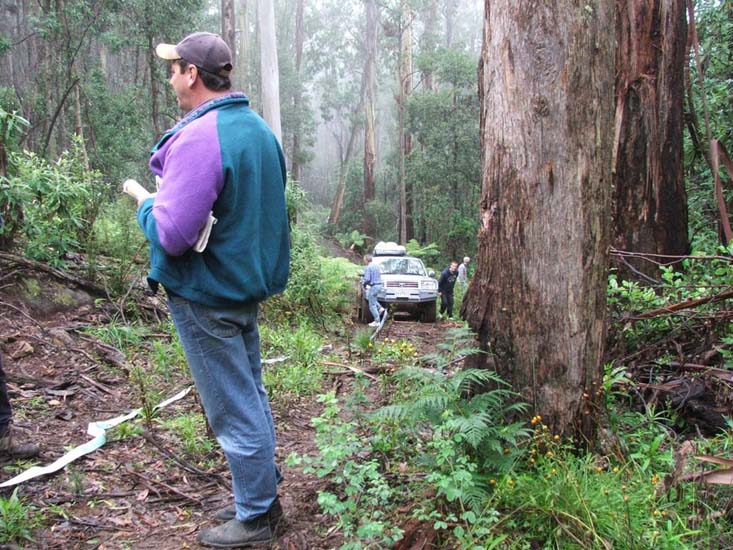 31-Toddy being recovered on the Rich Knob Track