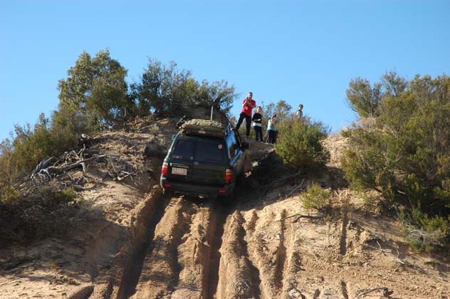 08-Ozi fails the dune test!