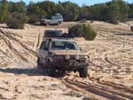 04-Nudgee raring to go on the Wyperfeld sands