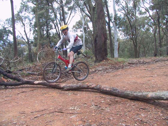 15-Bryan shows his skills at jumping the tree