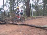 15-Bryan shows his skills at jumping the tree