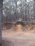 16-Beechworth MTB Park