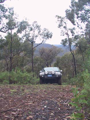 09-Hoppy on Tingaringy Track