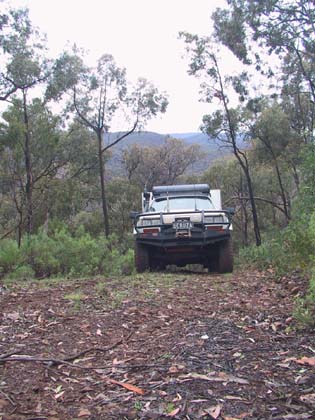 12-Chips brings the Trayon up the steep climb
