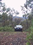 09-Hoppy on Tingaringy Track