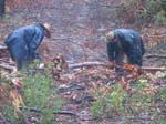 20-Zooming in on the hard workers