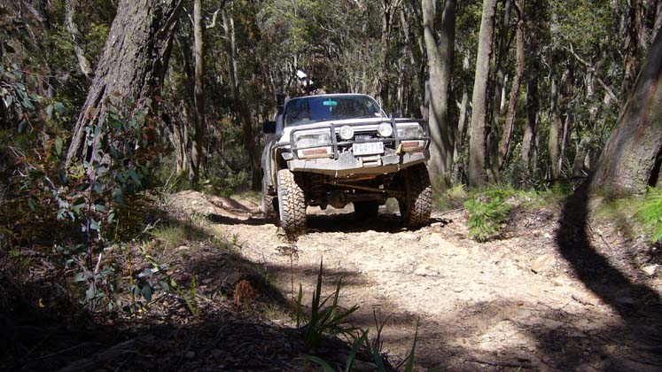 28-Grub climbs Steep Track