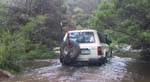 01-Zebra crosses the Thomson River