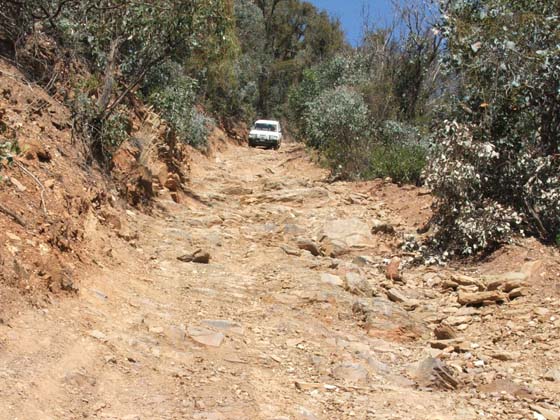 01-Hoppy crawls down Burgoyne Track