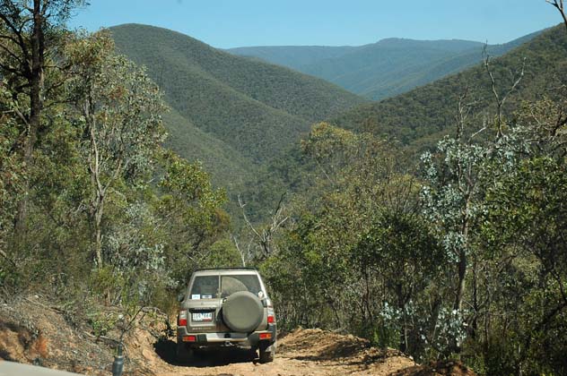 06-Cactus descends Burgoyne Track