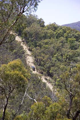 30-Cactus climbs Burgones