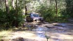 05-Freddo wets his feet on Hickey Creek Track