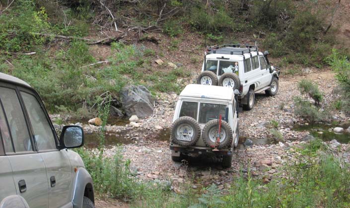 11 of 32-Koala follows Big John across Ben Cruachan Creek