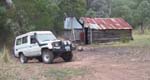 04 of 32-Koala arrives at Golden Point Hut