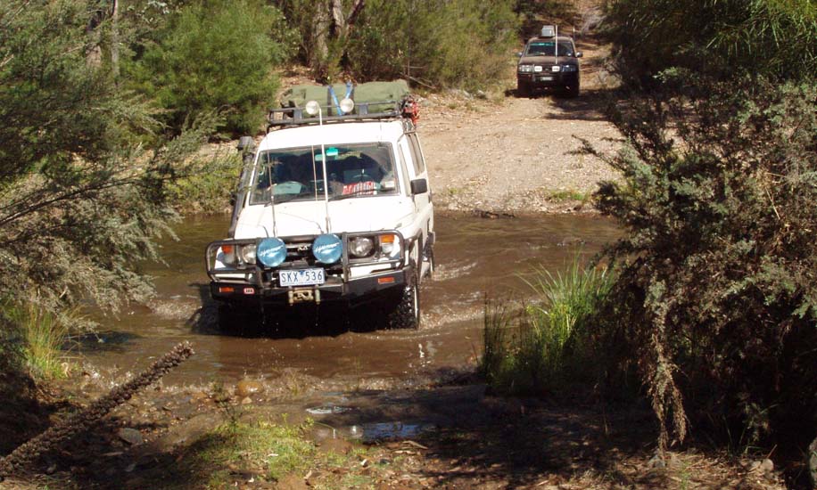 16-Roadrunner watches Big John ambling across the Deddick River
