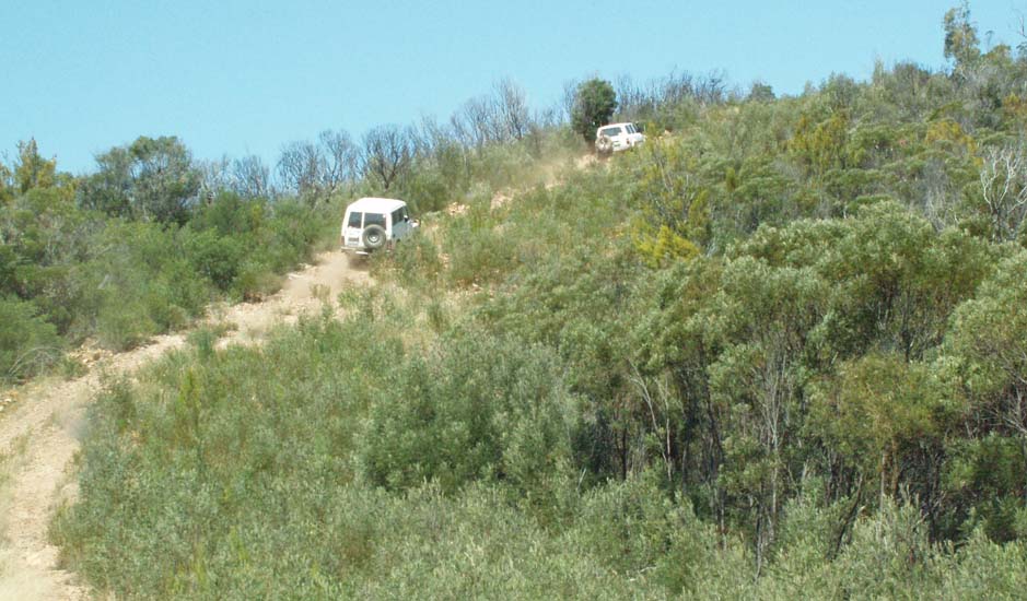 18-Zebra & Rhino climb the Laurie Track