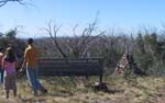 04-John, Laurway & Andrew check out the Victorian-NSW border at Tingaringy