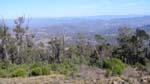 07-Views from the Laurie Track on Tingaringy