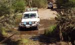 16-Roadrunner watches Big John ambling across the Deddick River