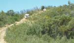 18-Zebra & Rhino climb the Laurie Track