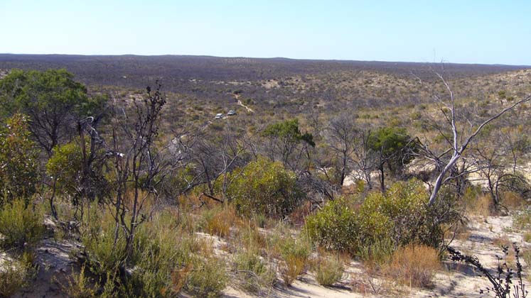 12-Views of the sandy Big Desert