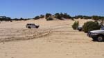 14-Gumgut plays on the dunes at White Springs