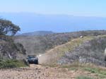 03-Gecko arrives at Mt Pinnibar