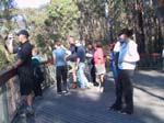 13-Views of Kosciusko NP from Scammells Lookout