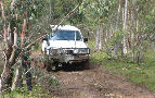 Description: Description: Description: Description: Description: Description: Description: Description: Description: D:\My Pictures\1-Zebra400 Pix\1-Oz - 4WD\2011-03-DaviesPlain\BeeLee\IMG_6216a-mini.JPG